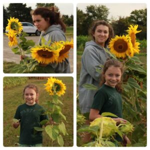 A collage of two girls, one older and one younger. They are holding sunflowers.
