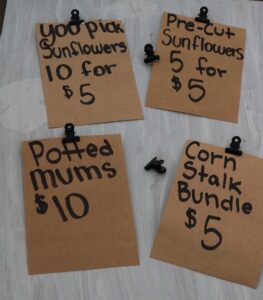 You-pick sunflowers, 10 for five dollars. Pre-cut sunflowers, 5 for five dollars. Potted mums, ten dollars. Corn stalk bundle, five dollars.