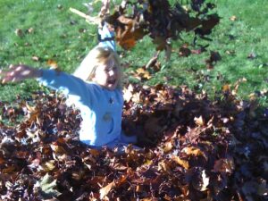 A child plays in leaves