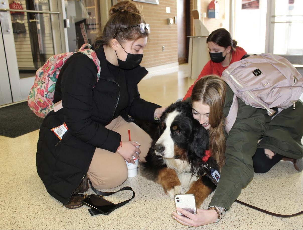 Students interact with dog.